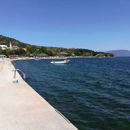 Murat Kaptan *