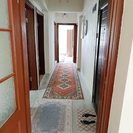 Murat Kaptan Apt *