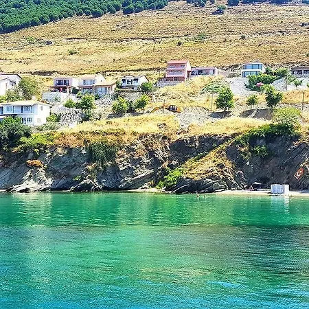 Murat Kaptan Apt *