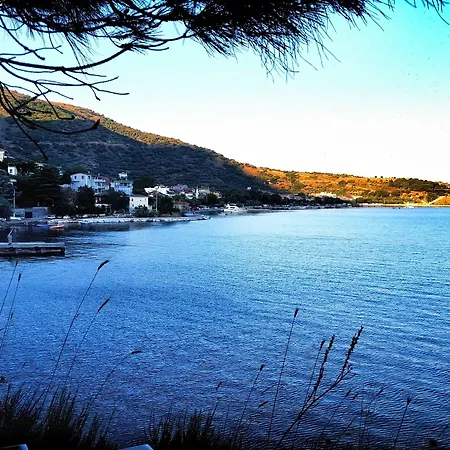 Murat Kaptan Apt